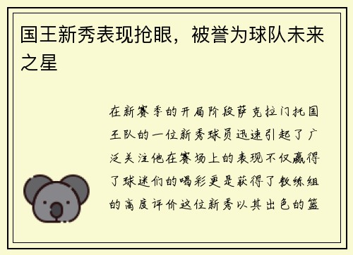 国王新秀表现抢眼，被誉为球队未来之星