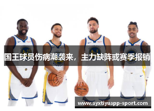 国王球员伤病潮袭来，主力缺阵或赛季报销